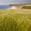 thumbs/IMG_4173.jpg